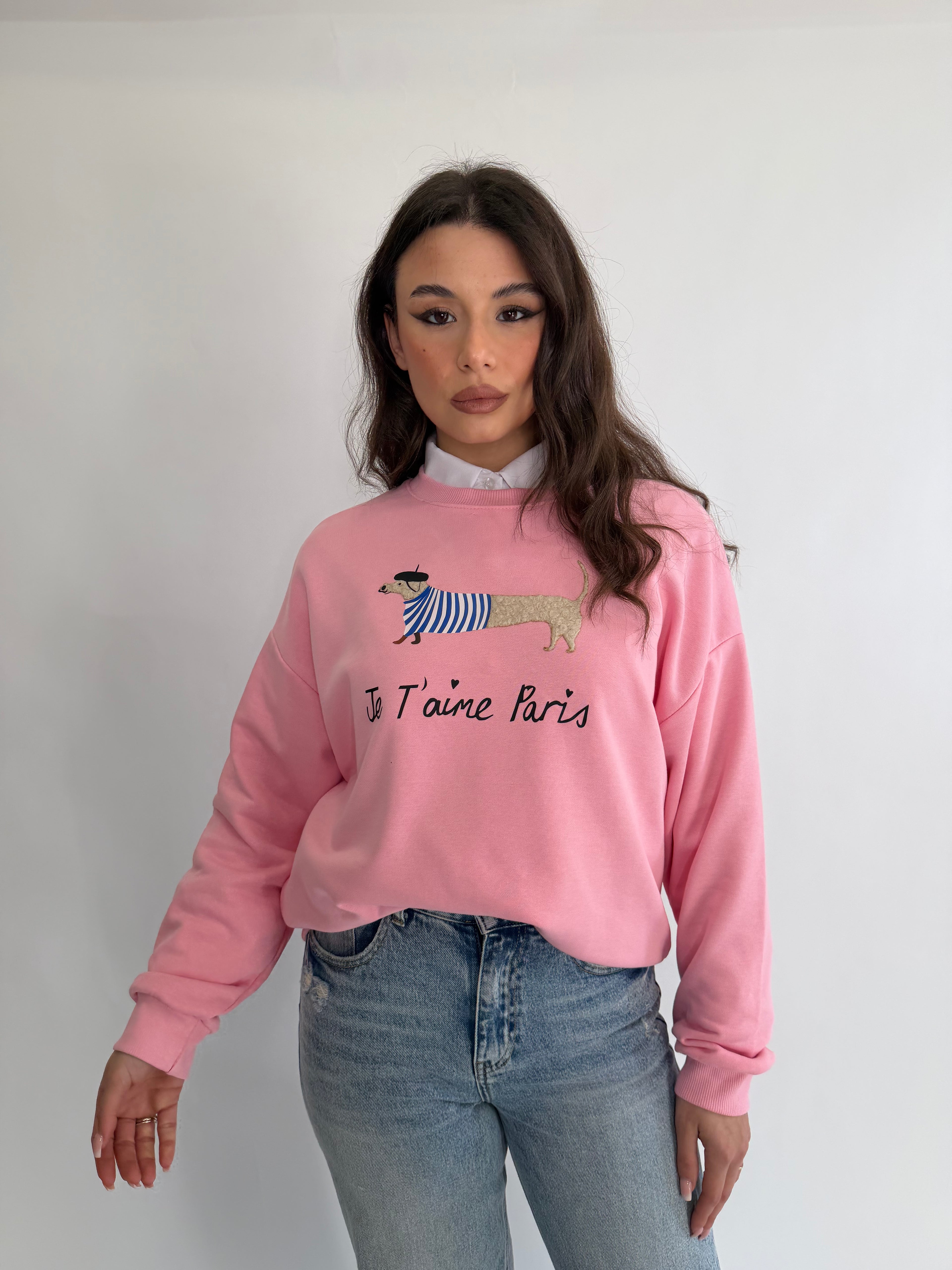 Felpa casual bassotto